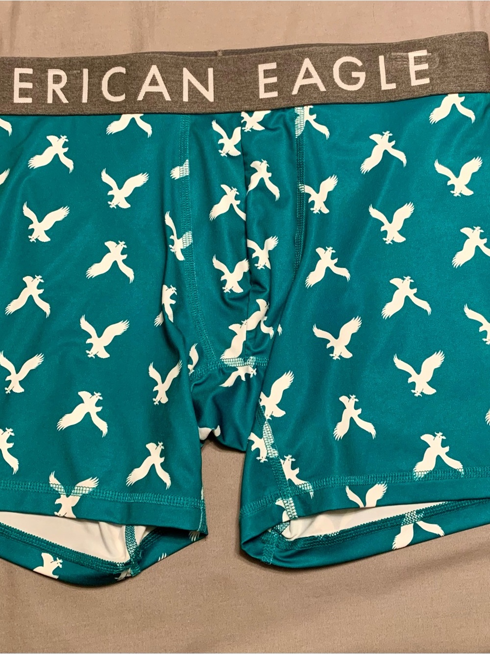 American Eagle Outfitters Teal Boxer Briefs with White Eagle Print